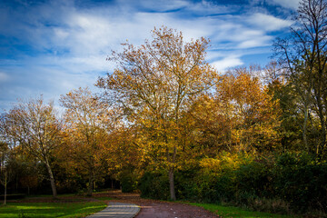 autumn in the park