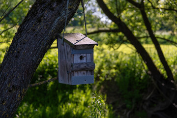 A wooden birdhouse hangs from a tree branch beside a peaceful river. Natural outdoor setting with trees, water, and wildlife, perfect for nature and garden photography.