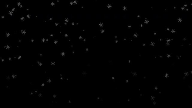 Winter snow, falling snow animation. Snowflakes slowly falling. Slowly falling snow on a transparent background.