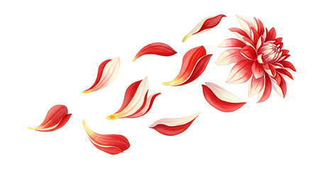A vivid red and white dahlia flower dramatically sheds its gradient petals in a graceful dance, illustrating the ephemeral beauty and detailed elegance of a blossoming moment