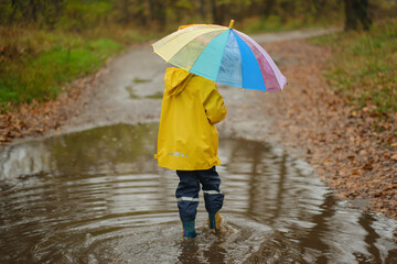 Happy child in yellow raincoat and hat holding colorful rainbow umbrella standing in puddle on rainy autumn day in park.