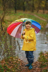Happy child in yellow raincoat and hat holding colorful rainbow umbrella standing in puddle on rainy autumn day in park.