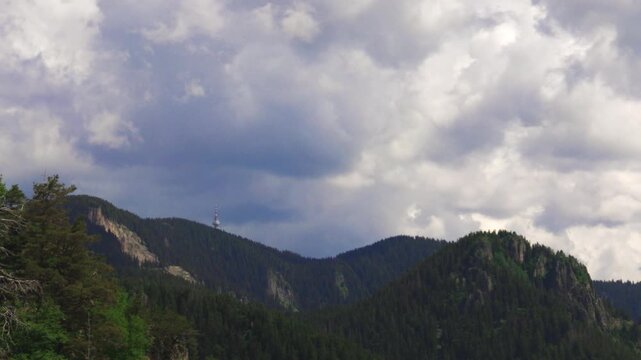 Tower Snezhana on peak of Snezhana covered with spruce forests in Rhodope mountains