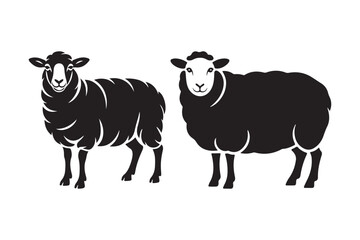 Two black sheep standing side by side in silhouette