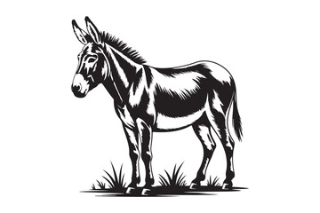 Detailed black and white illustration of a standing donkey