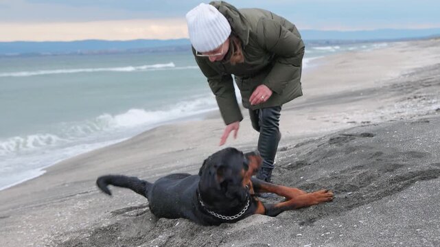 The dog somersaults the beach near the sea and the mistress