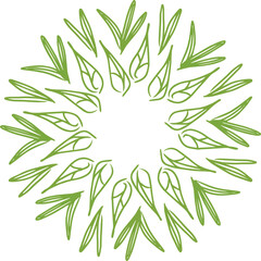 Obraz premium leaf border