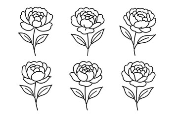 6 sets of peony flower vectors