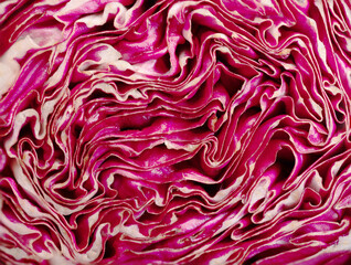 Close-up view of vibrant purple cabbage showcasing intricate leaf patterns