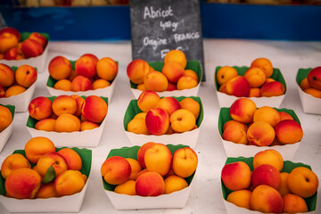 Ripe apricots at the Cours Saleya provencal farmers market in Nice, France