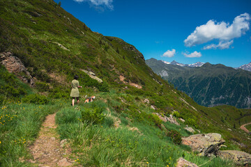 Woman hiking with dog in mountains