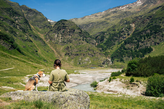Resting with dog in alpine landscape - Powered by Adobe