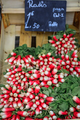 Red radishes at a vegetable stand at the farmers market in Nice, France