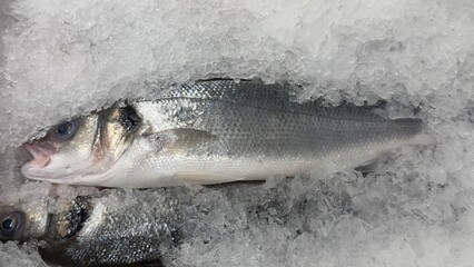 Vibrant Seafood Market: Diverse Selection of Fresh and Frozen Fish Displayed in Icy Bins. Perfect...