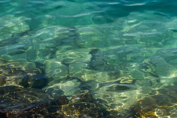 sea water surface