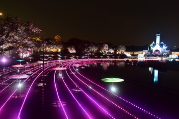 三重　三重県　イルミネーション　イルミ　なばなの里