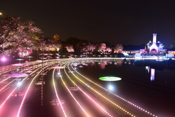 三重　三重県　イルミネーション　イルミ　なばなの里
