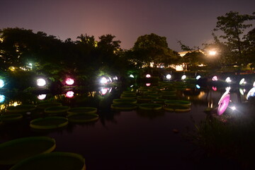 三重　三重県　イルミネーション　イルミ　なばなの里