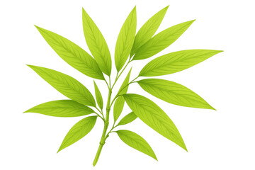 Fototapeta premium Bamboo plant with fresh green leaves on transparent background, symbolizing nature, growth, and ecology