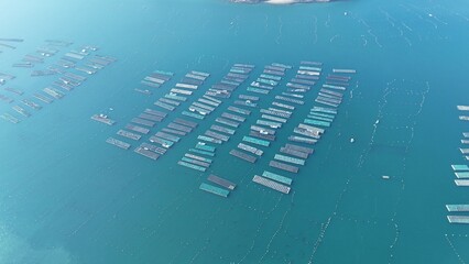 Aquaculture Fields of Tongyeong, South Korea
