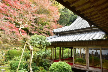兵庫　沙羅の寺 　應聖寺