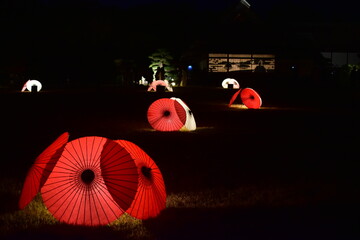 岡山　中国地方　後楽園　ライトアップ