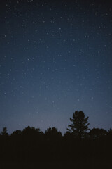 Fototapeta premium A captivating starfield blankets a tranquil nightscape above a silhouette of trees, creating a serene contrast between the celestial and terrestrial.