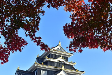岡山城　城　岡山