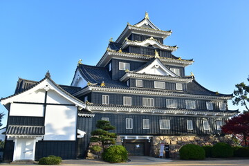 岡山城　城　岡山