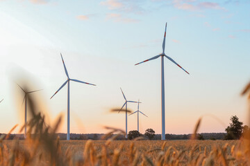 Wind turbines standing tall in a golden field during sunset, with soft clouds in the sky, showcasing renewable energy and sustainable technology in a serene landscape