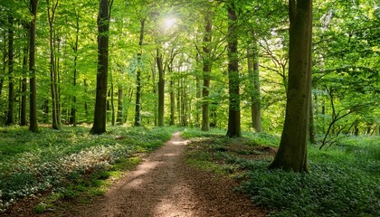 Obraz premium Sunny Forest Path Surrounded By Vibrant Green Foliage And Majestic Trees