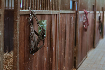 Horse bridle hanging on wooden stall wall in equestrian stable, showcasing rustic interior design and equestrian equipment, emphasizing the connection between horses and their caretakers