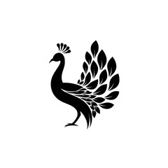 Fototapeta premium Black silhouette of a majestic peacock with a stylized leaf-shaped tail and crest. Elegant bird vector graphic design element.
