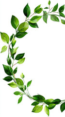Fototapeta premium Elegant Green Leaf Vine Design