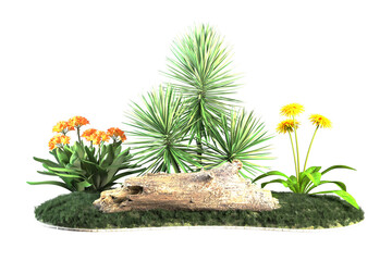 Flowerbed with diverse plants and a weathered log.