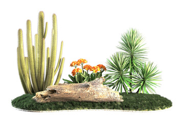 Showcases a desert garden scene with cacti succulents and flowers.
