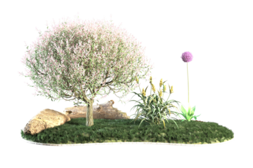 Willow tree next to a few purple allium flowers.