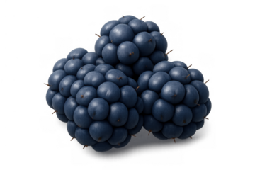 Fresh organic blackberries providing healthy fruit snack and natural ingredients, rich in antioxidants, transparent background