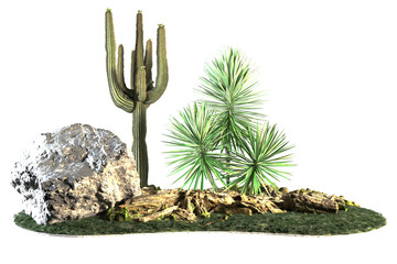Desert plant arrangement with a cactus rock and yucca.