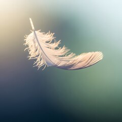 A delicate white feather floating gently in the air with soft sunlight illuminating its fine strands and a blurred background creating a peaceful atmosphere