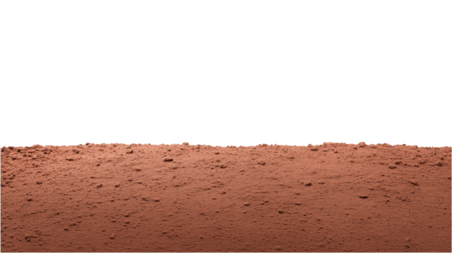 Vast expanse of reddish-brown terrain with scattered rocks under natural daylight