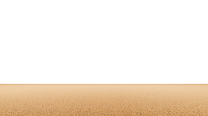 Expansive stretch of smooth golden-brown sand on a serene beach with clear sky and natural lighting