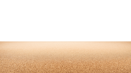 Expansive untouched shoreline with fine-grained sand and clear horizon on transparent background