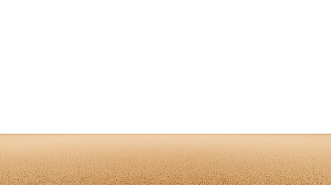 Expansive stretch of smooth golden-brown sand on a serene beach with clear sky and natural lighting