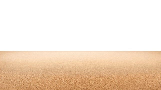 Expansive untouched shoreline with fine-grained sand and clear horizon on transparent background