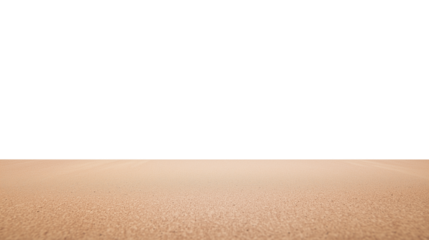 Untouched sandy beach with finely textured light brown sand and transparent background