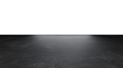 Vast expanse of calm blue-gray water under a clear sky with a subtle horizon line on transparent background