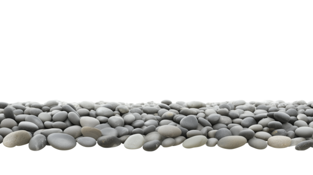 Close-up of smooth rounded pebbles in a linear formation on transparent background