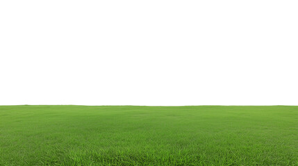 Obraz premium Expansive green field with clear sky and transparent background