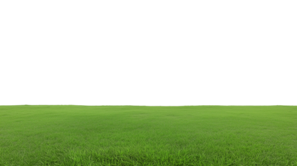 Expansive green field with clear sky and transparent background